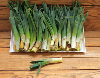 Similar image 11493197