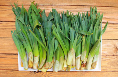 Similar image 11493198