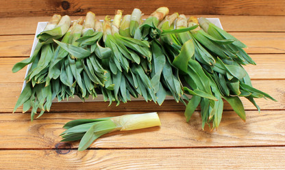 Similar image 11493199