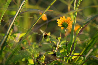 Similar image 11469715