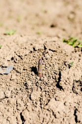 Similar image 11487057