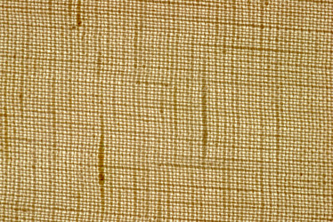 Similar image 11477793