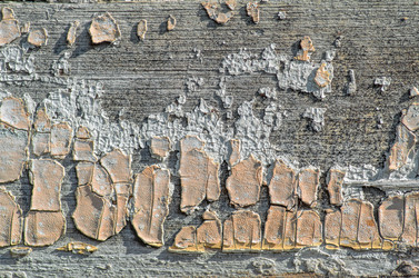 Similar image 11477794