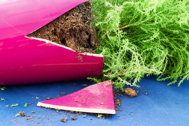 Similar image 11476427