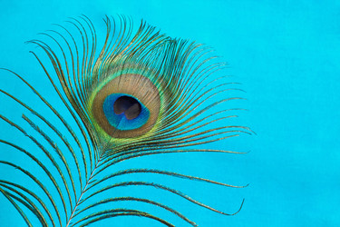 Similar image 11476464