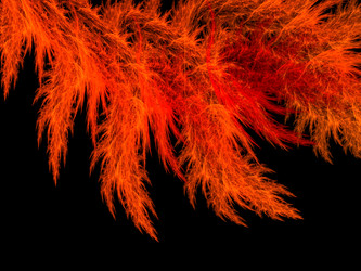 Similar image 11488143