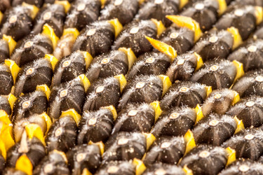 Similar image 11469830