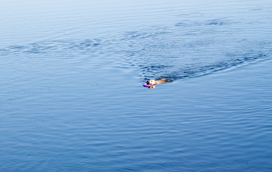 Similar image 11469832