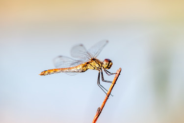 Similar image 11469833