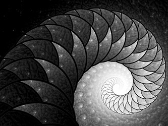 Similar image 11488175