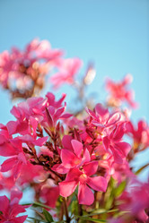 Similar image 11477795