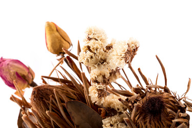 Similar image 11471845