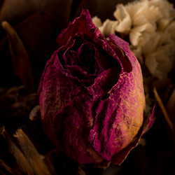 Similar image 11471866