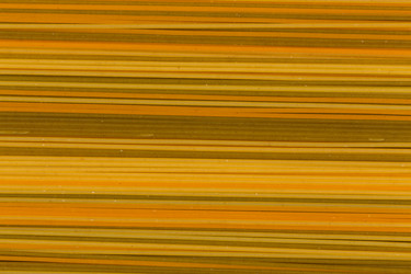 Similar image 11471968