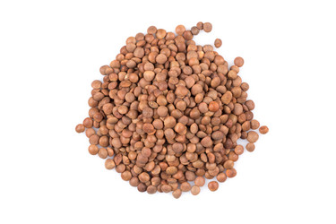 Similar image 11472405