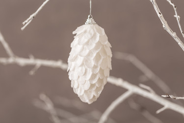 Similar image 11472434