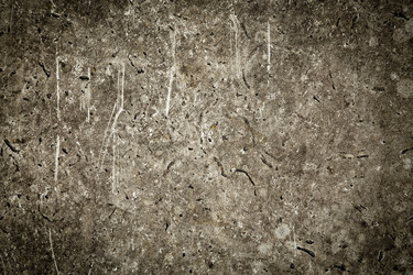 Similar image 11472534