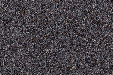 Similar image 11472541