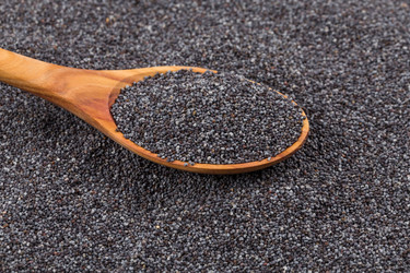 Similar image 11471731