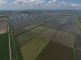 Similar image 11488525