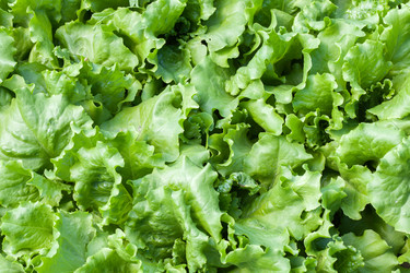 Similar image 11471049