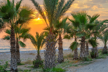 Similar image 11477802