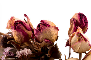 Similar image 11471825