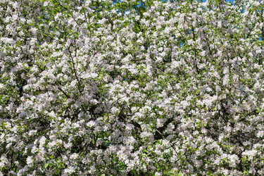 Similar image 11471841