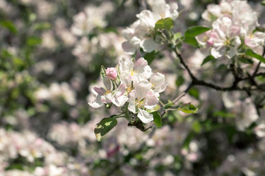 Similar image 11471956