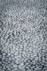 Similar image 11472412