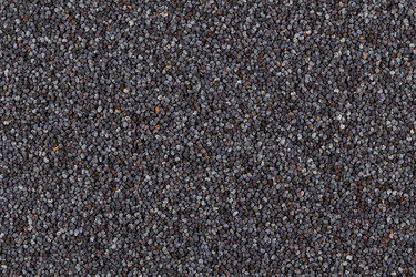 Similar image 11472461