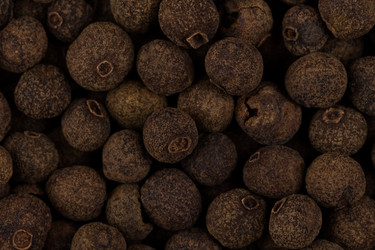 Similar image 11472544