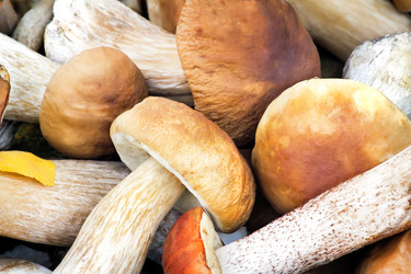 Similar image 11481872