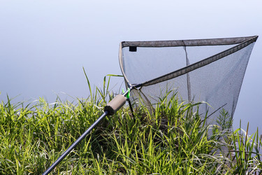 Similar image 11481892