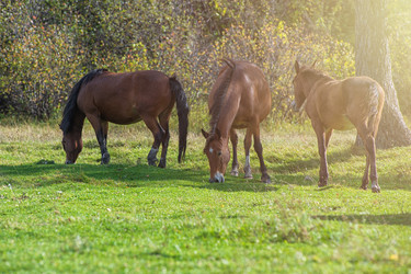 Similar image 11482211