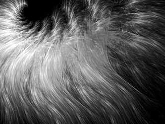 Similar image 11488158