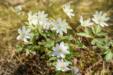 Similar image 11473012