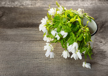 Similar image 11473013