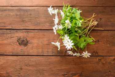 Similar image 11473014