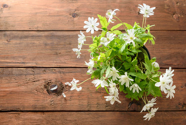 Similar image 11473016