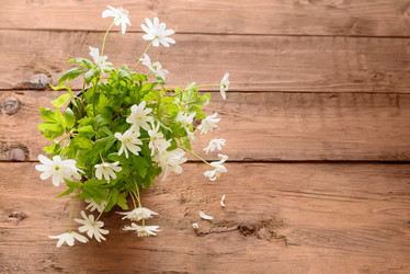 Similar image 11473018