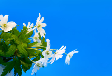 Similar image 11473019