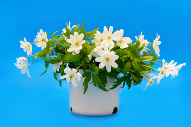 Similar image 11473020