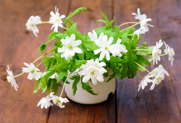 Similar image 11473021