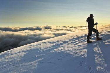 Similar image 11469398