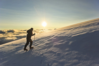 Similar image 11469423