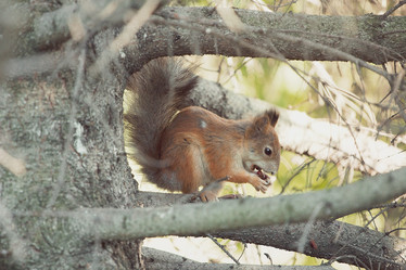 Similar image 11471537