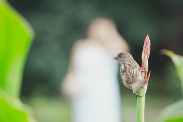 Similar image 11471608