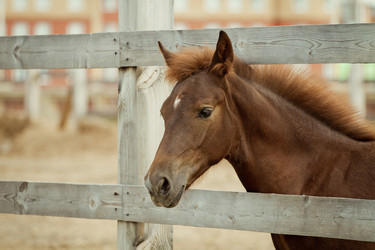 Similar image 11471609