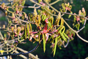 Similar image 11474916